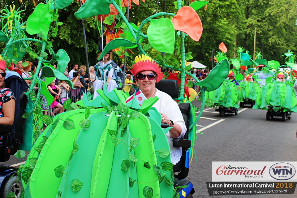 Luton International Carnival 2018 .