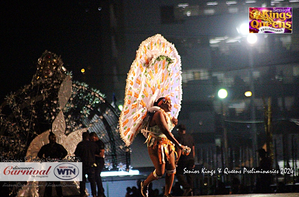 Trinidad and Tobago Carnival 2024 - Senior Kings & Queens Preliminaries