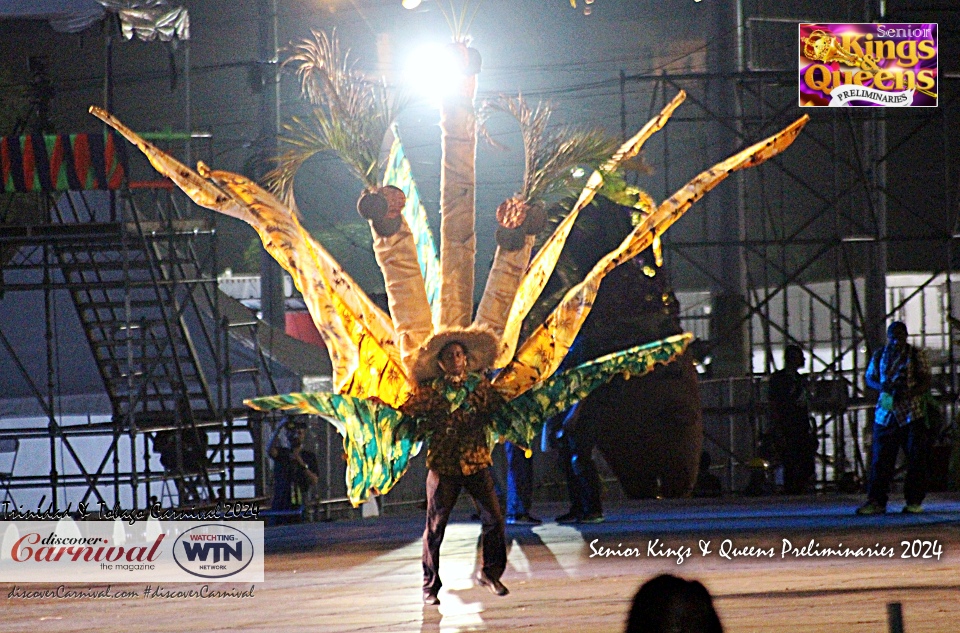 Trinidad and Tobago Carnival 2024 - Senior Kings & Queens Preliminaries